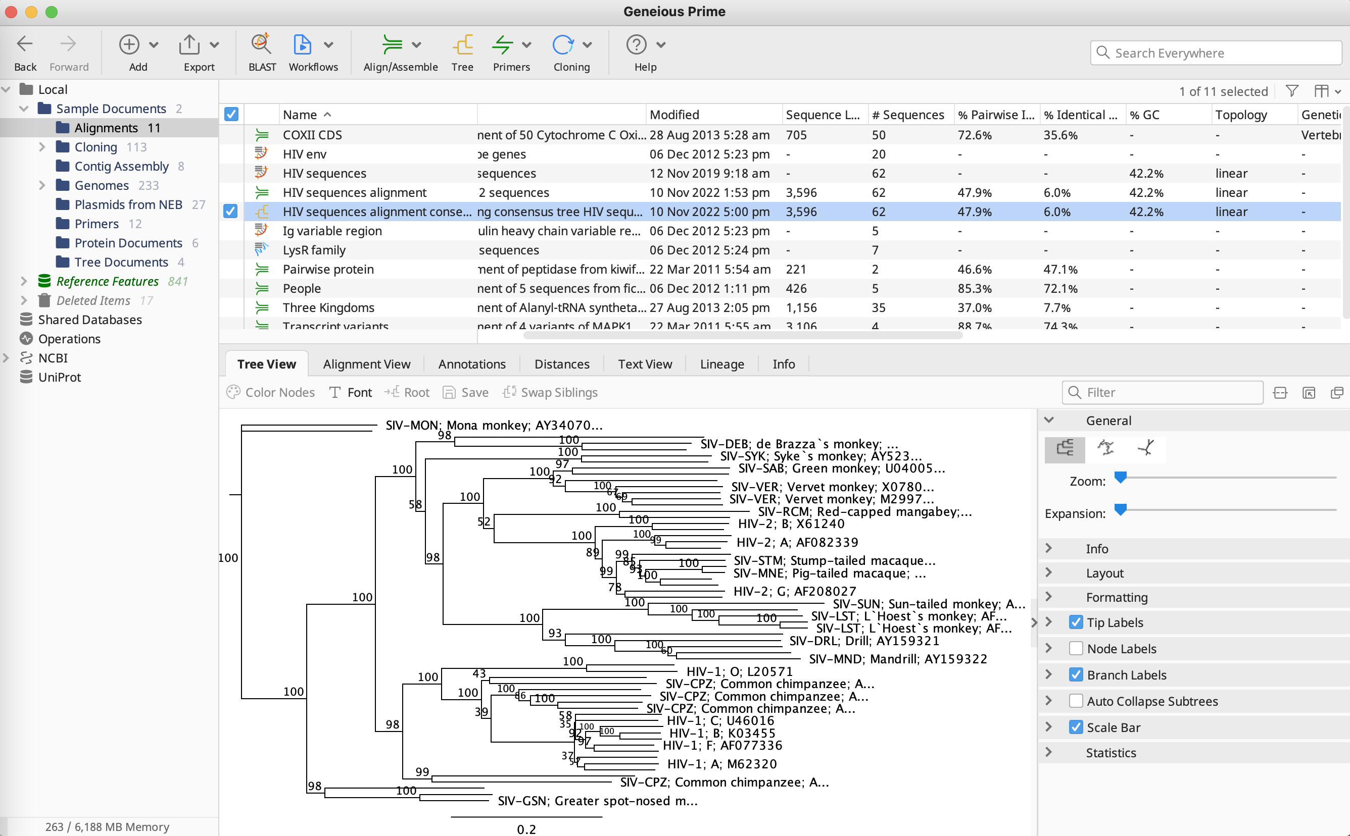 Geneious_系統樹の作成_系統樹完了画面